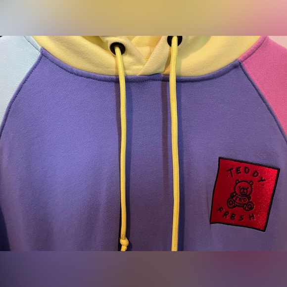TEDDY FRESH ORIGINAL 2017 COLOR-BLOCK HOODIE BRAND NEW - Picture 3 of 3